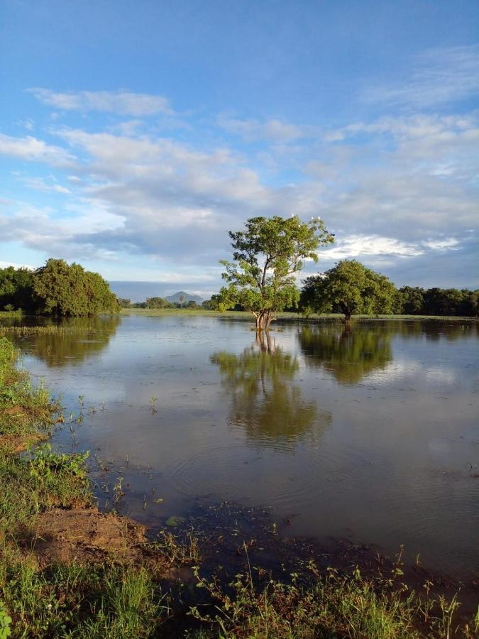 Lake Edge Dambulla Exterior photo