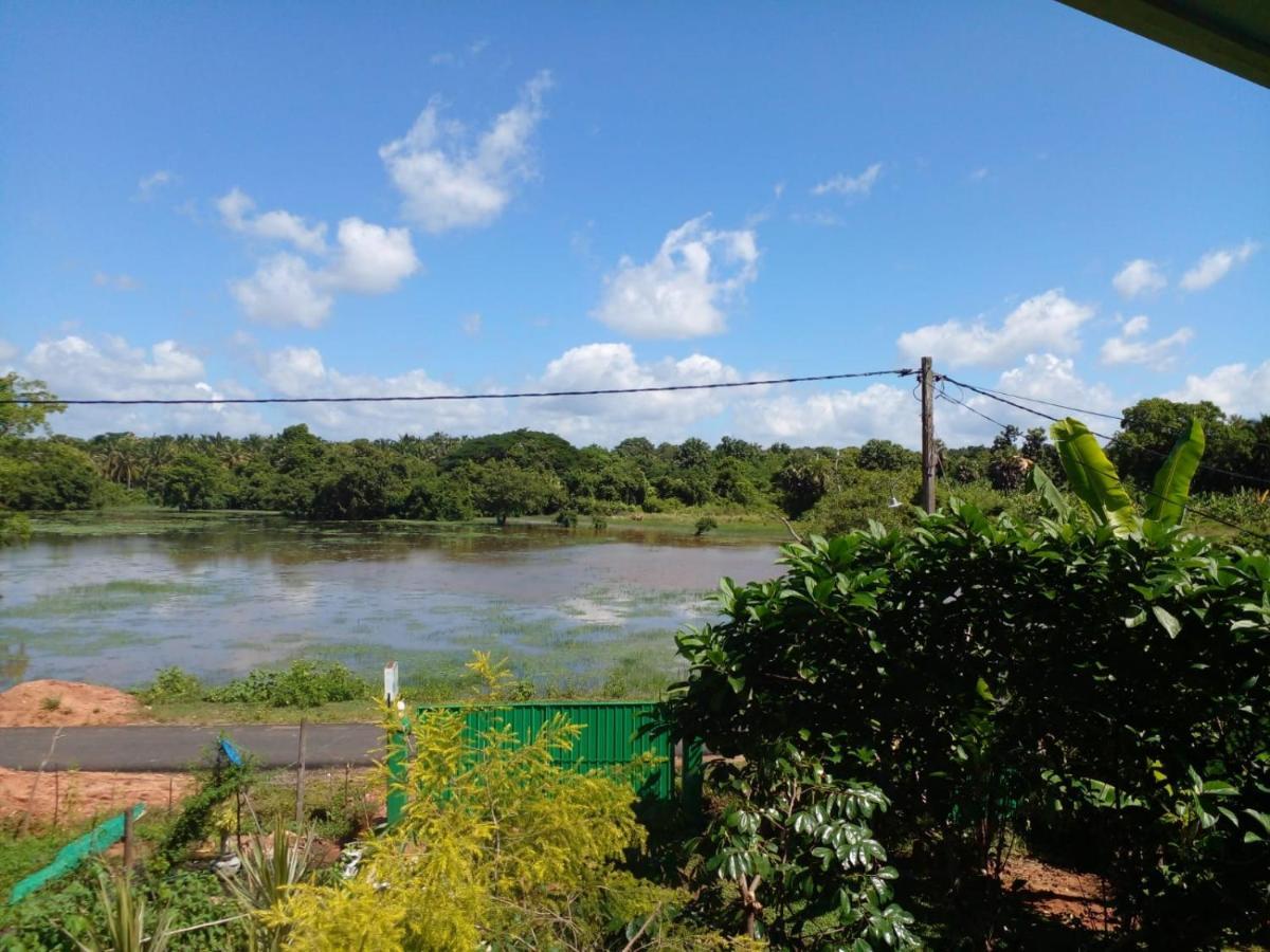 Lake Edge Dambulla Exterior photo