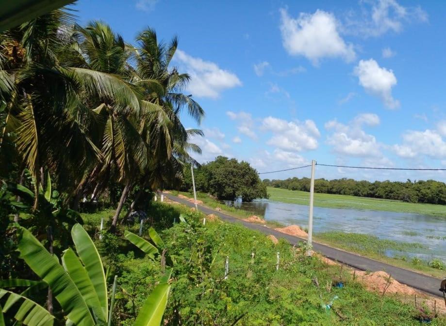 Lake Edge Dambulla Exterior photo