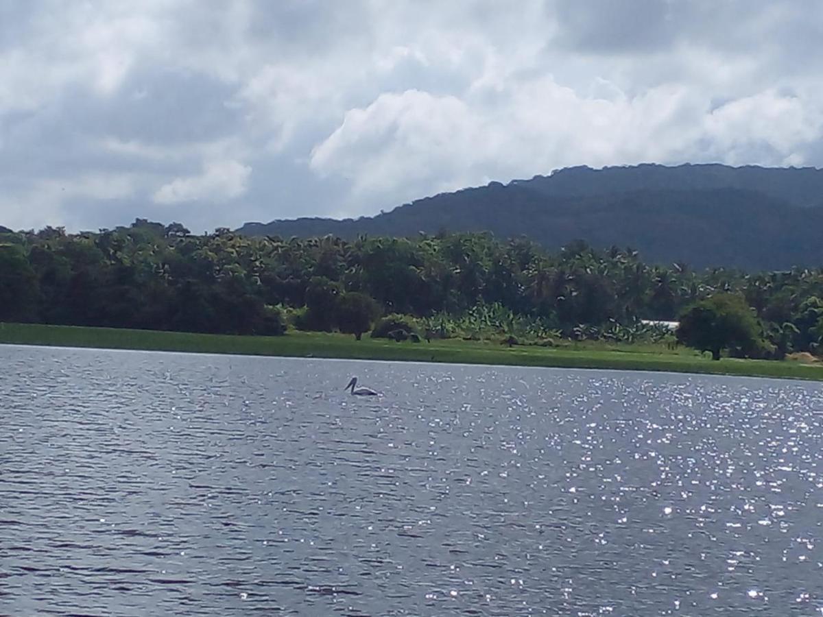 Lake Edge Dambulla Exterior photo