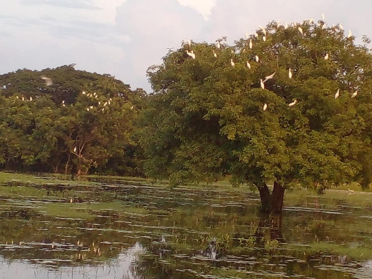 Lake Edge Dambulla Exterior photo