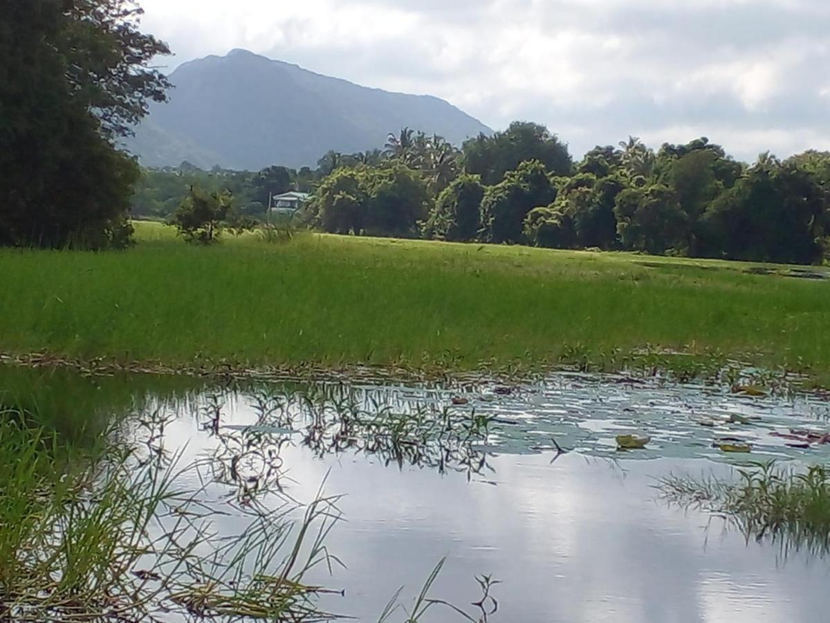 Lake Edge Dambulla Exterior photo