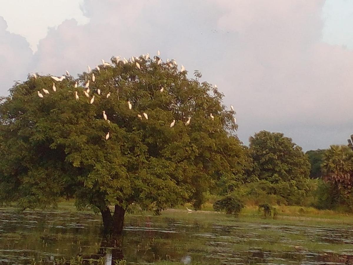 Lake Edge Dambulla Exterior photo