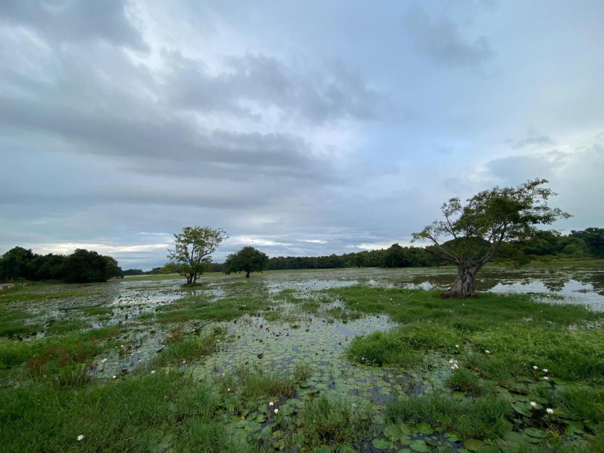 Lake Edge Dambulla Exterior photo